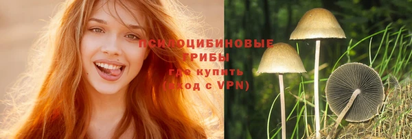 apvp Верея