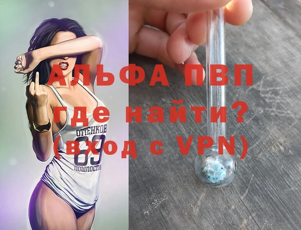 apvp Верея