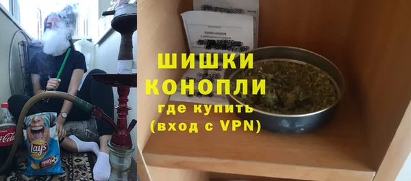 шишки Верхний Тагил