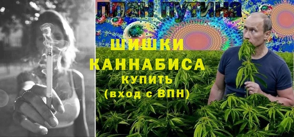 шишки Верхний Тагил