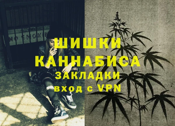 прущие грибы Верхнеуральск