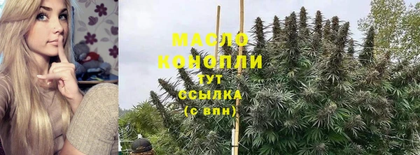 шишки Верхний Тагил