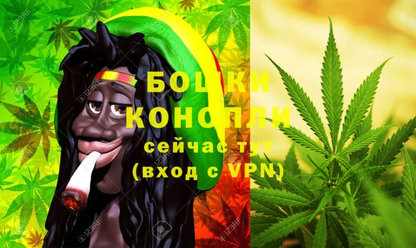 прущие грибы Верхнеуральск