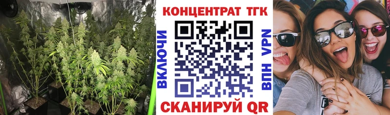 Купить закладки  Хадыженск  Дистиллят ТГК Wax 